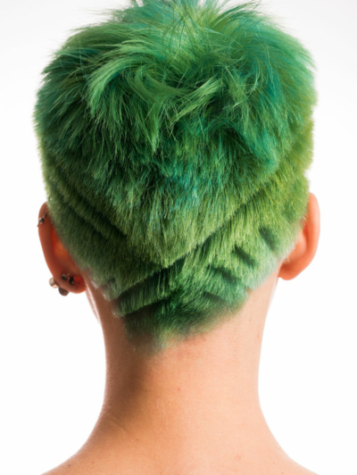 Osis-Made-to-create-2018_Lovro-Sprajc_Green-Punk_cover